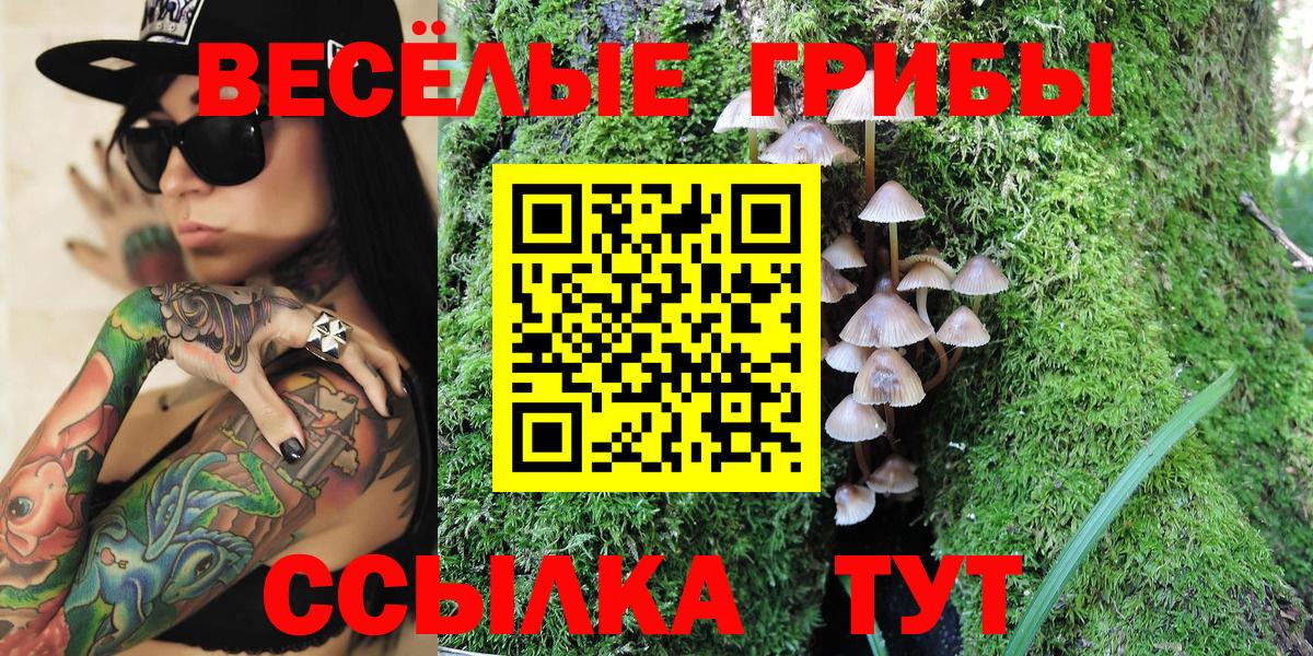 где купить наркоту  Псилоцибиновые грибы ЛСД  Вход с VPN  Орёл 