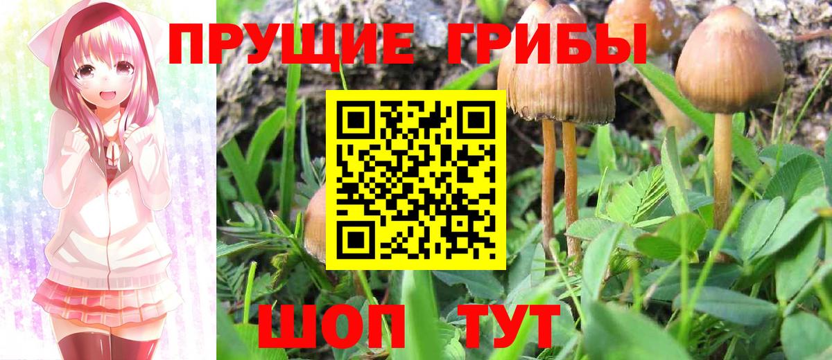 Галлюциногенные грибы MAGIC MUSHROOMS Орёл